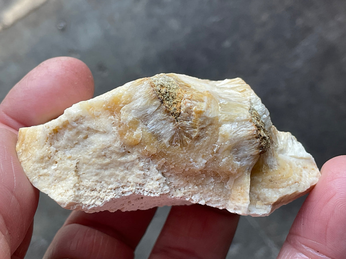 86g Palygorskite with Stellerite Specimen from Tasmania Australia