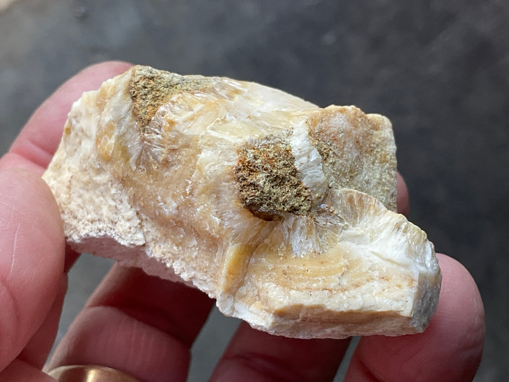 86g Palygorskite with Stellerite Specimen from Tasmania Australia