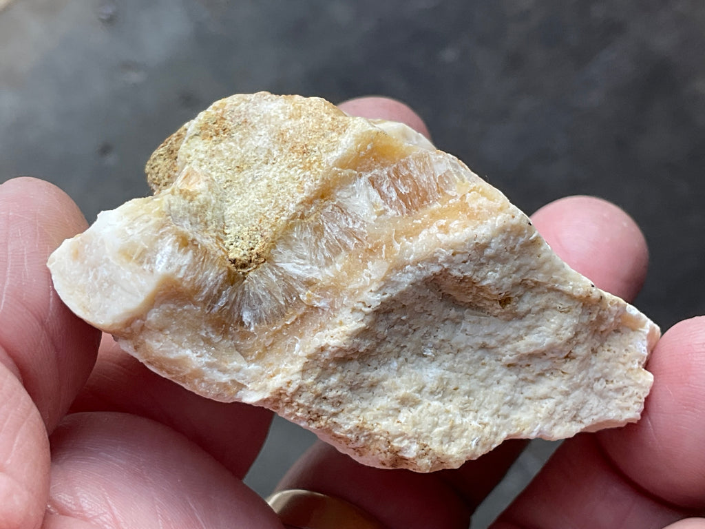 86g Palygorskite with Stellerite Specimen from Tasmania Australia
