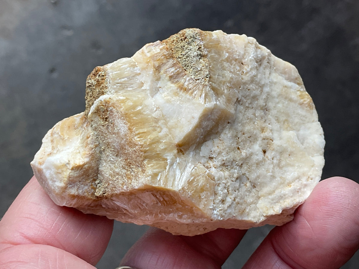 86g Palygorskite with Stellerite Specimen from Tasmania Australia