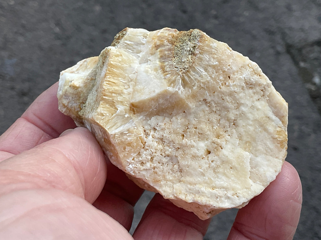 86g Palygorskite with Stellerite Specimen from Tasmania Australia
