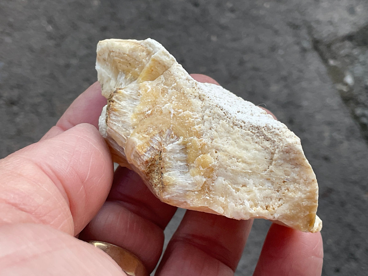 86g Palygorskite with Stellerite Specimen from Tasmania Australia