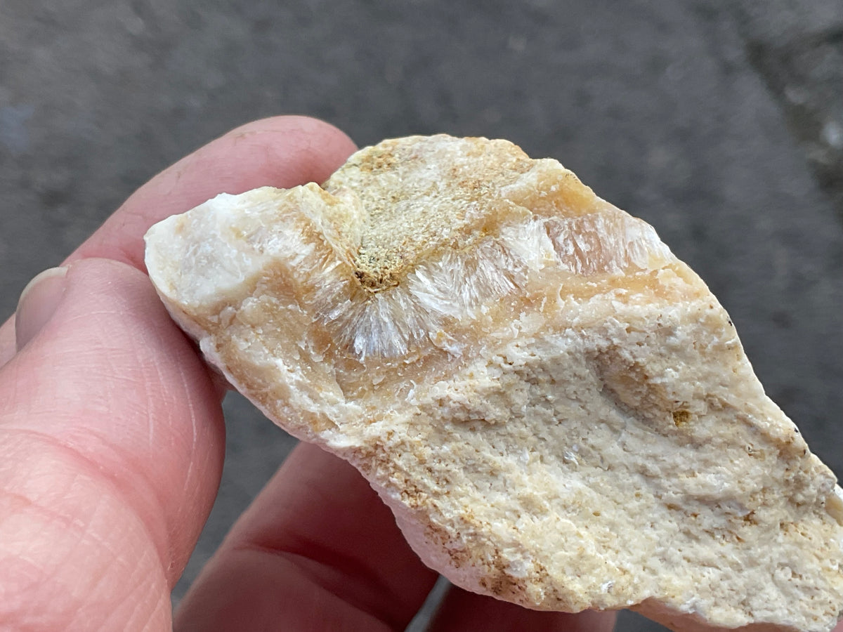 86g Palygorskite with Stellerite Specimen from Tasmania Australia