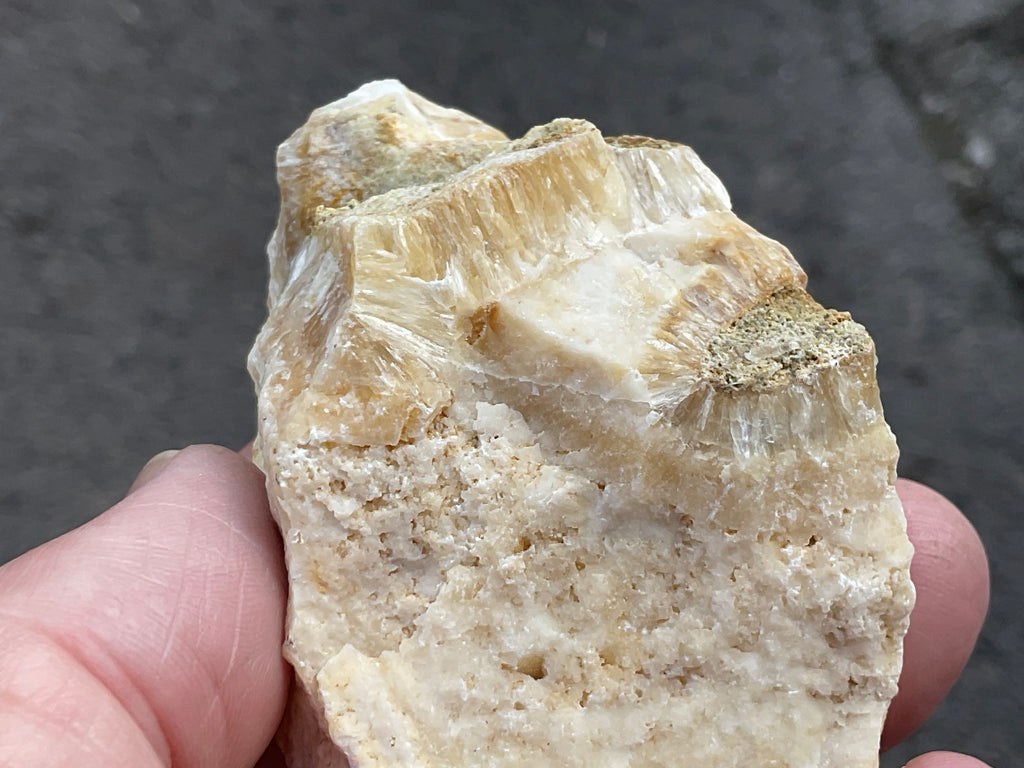 86g Palygorskite with Stellerite Specimen from Tasmania Australia