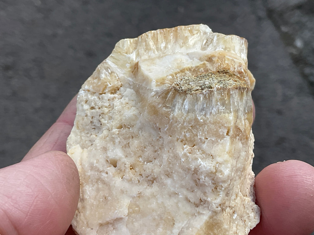 86g Palygorskite with Stellerite Specimen from Tasmania Australia