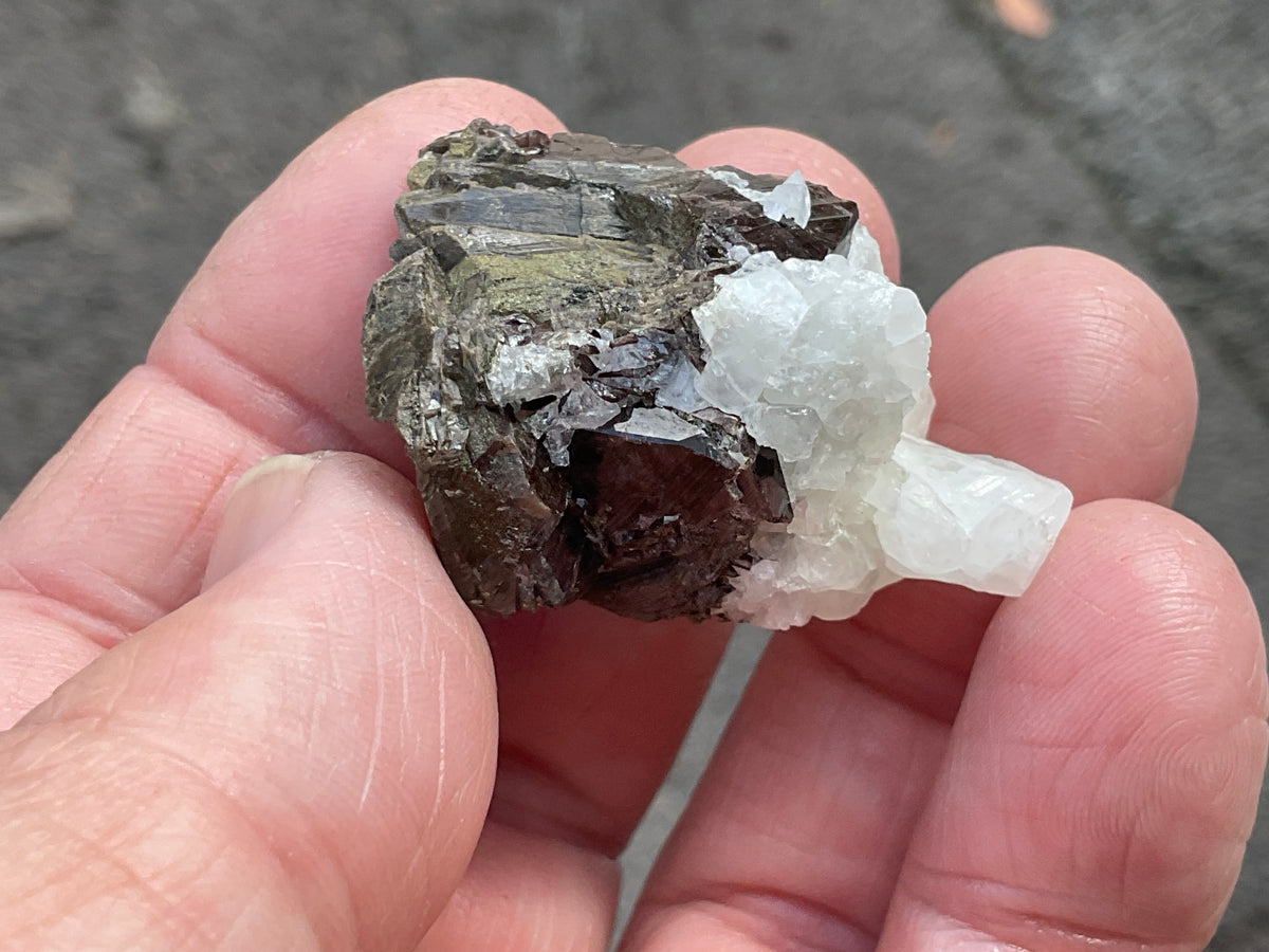 24g Australian Datolite on Axinite Specimen
