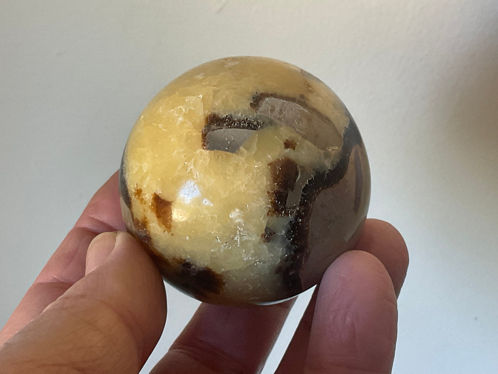 199g Madagascan Septarian Sphere 1B