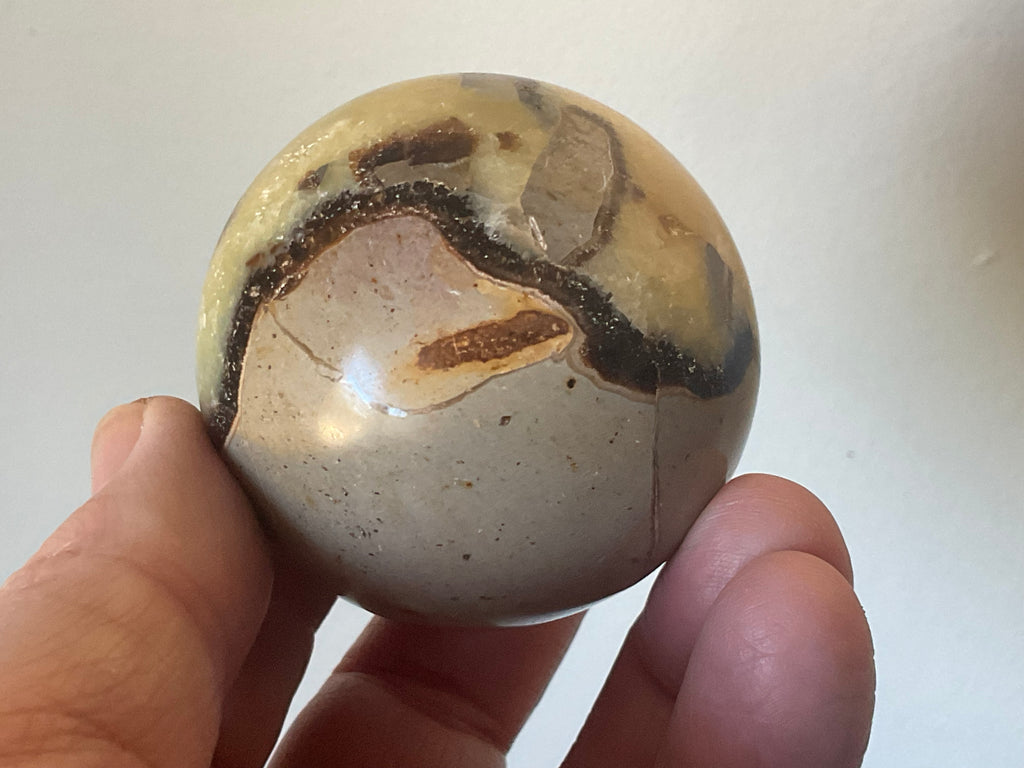 199g Madagascan Septarian Sphere 1B
