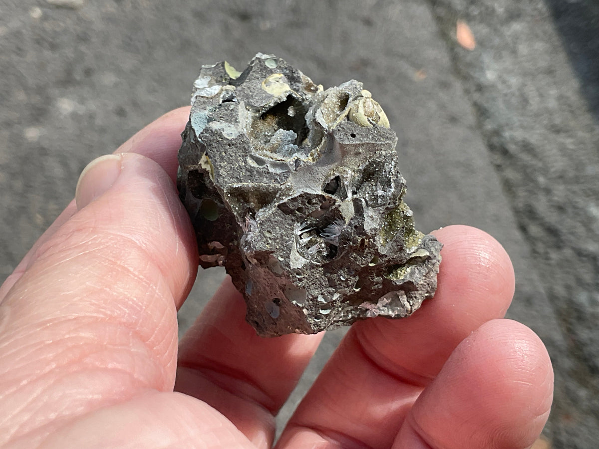 46g Australian Analcime and Natrolite in Basalt Specimen A