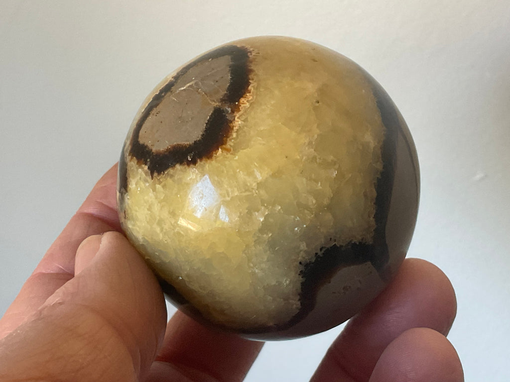 246g Madagascan Septarian Sphere 2B