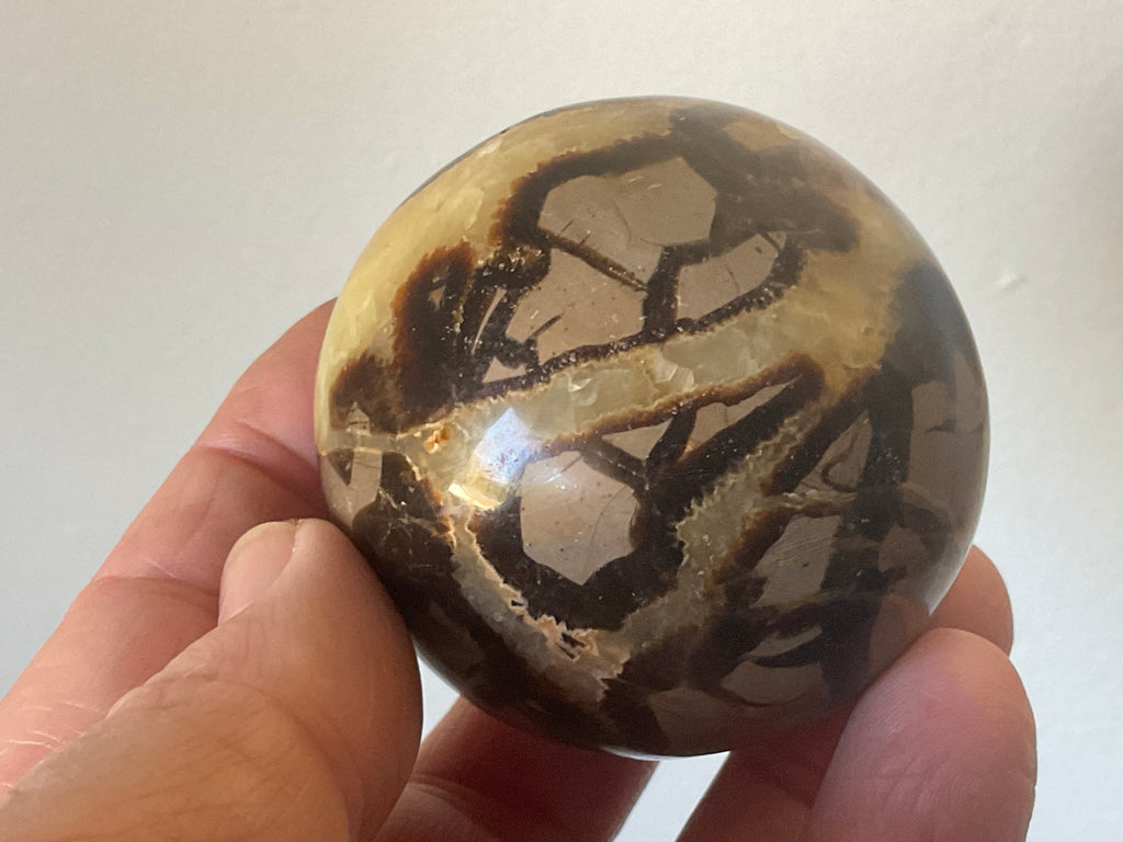 246g Madagascan Septarian Sphere 2B