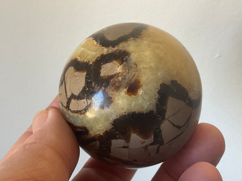 246g Madagascan Septarian Sphere 2B