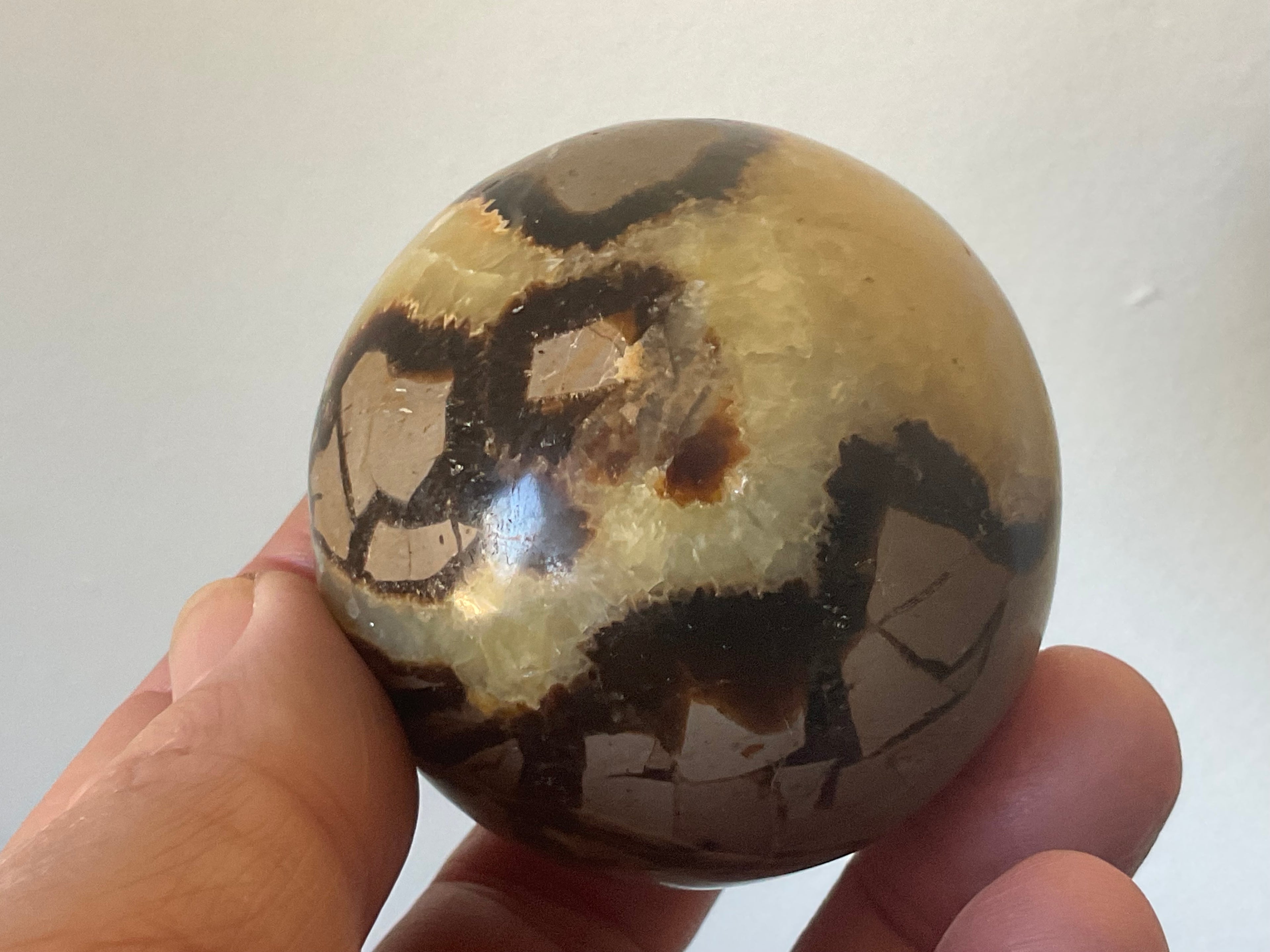 246g Madagascan Septarian Sphere 2B