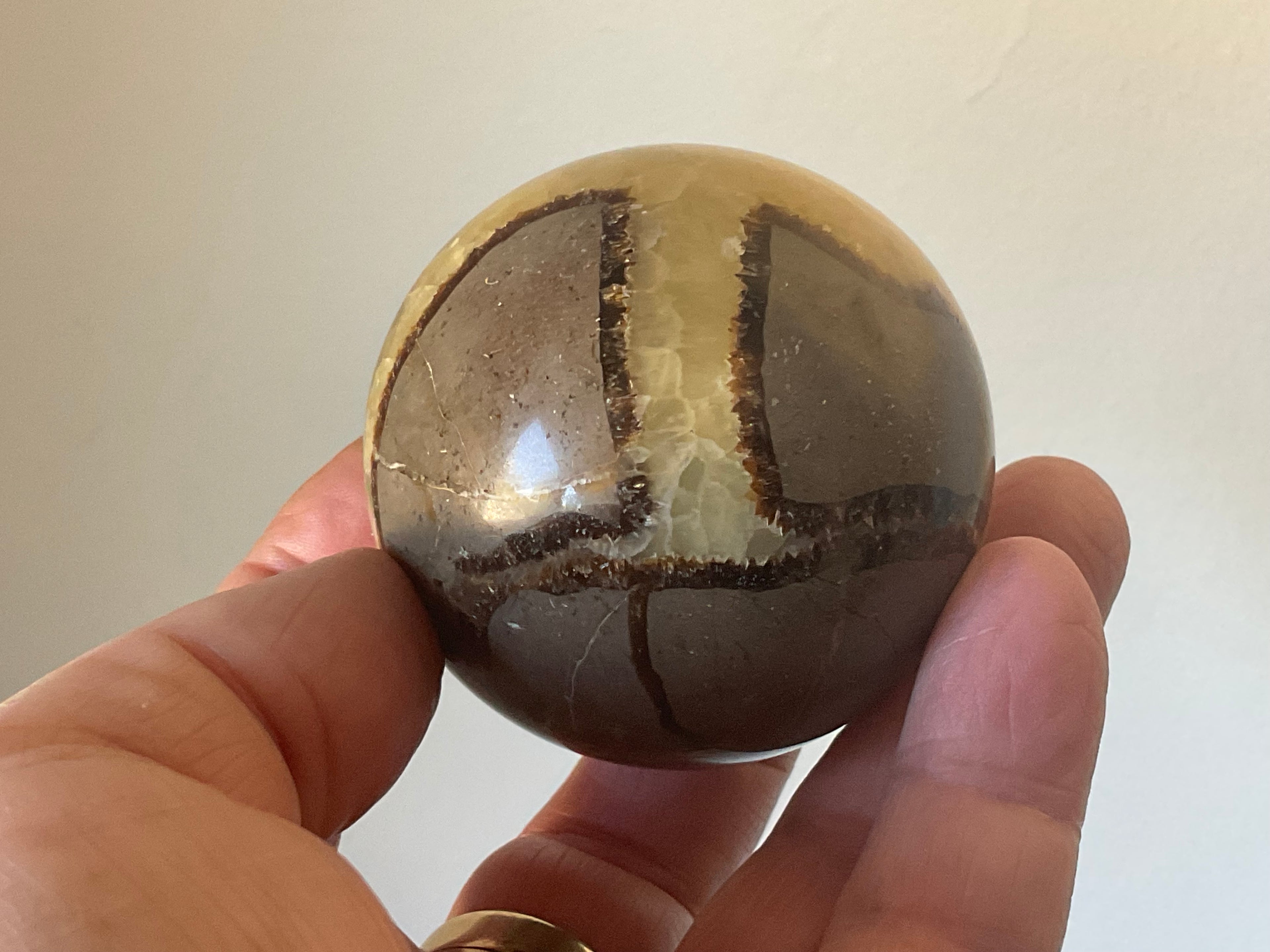 274g Madagascan Septarian Sphere 3C