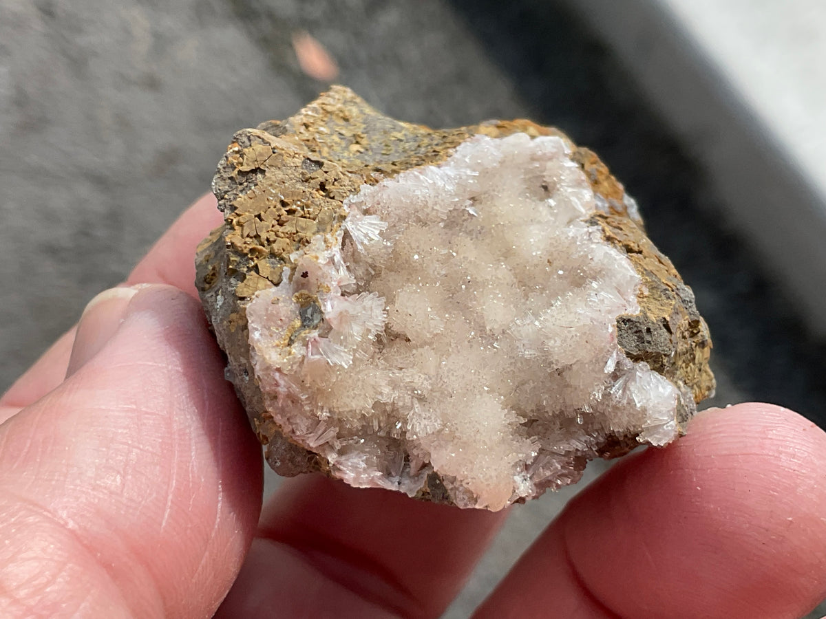 42g Australian Analcime with Natrolite in Basalt Specimen C