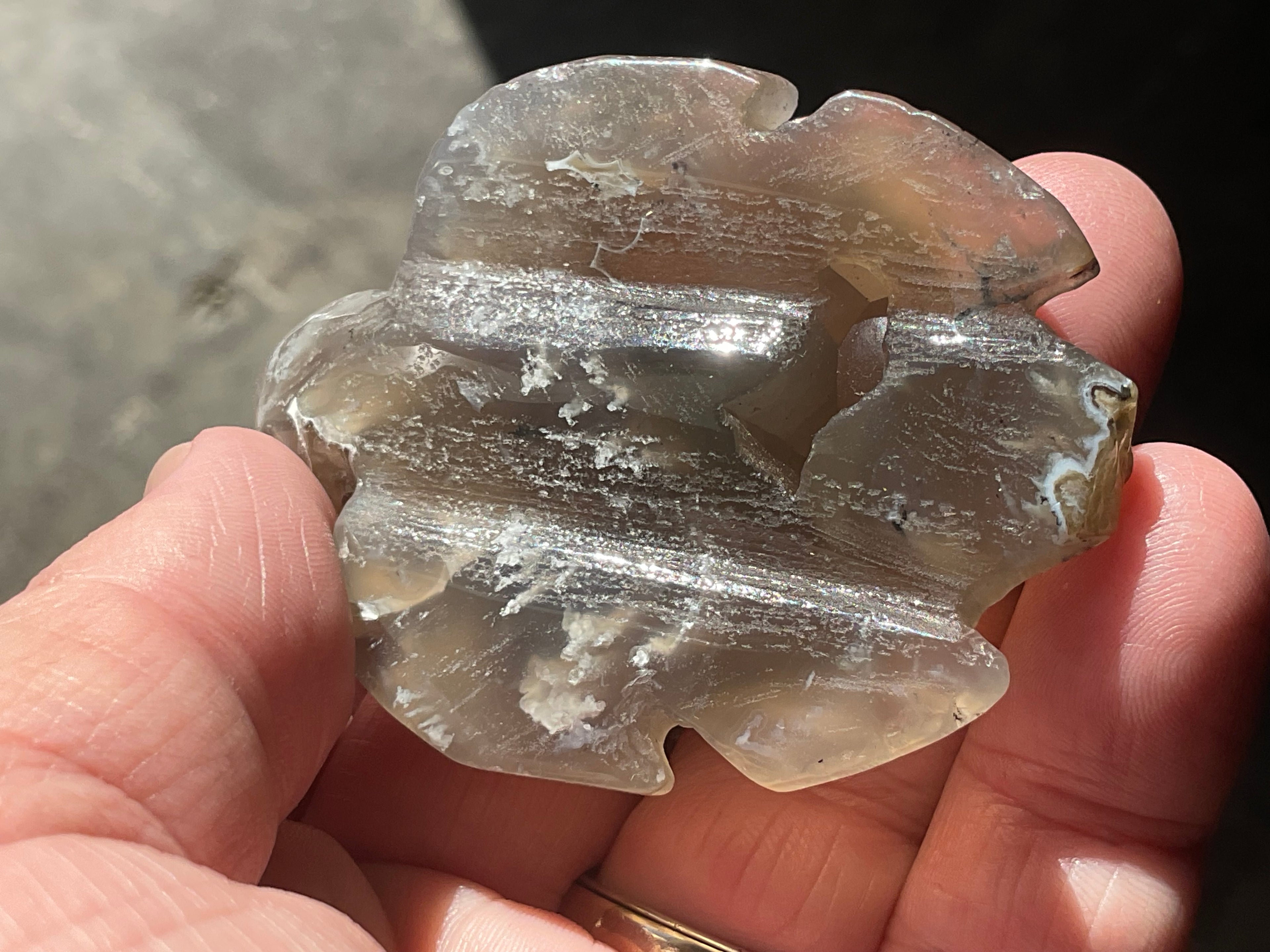 62g Carved Quartz Turtle 1A