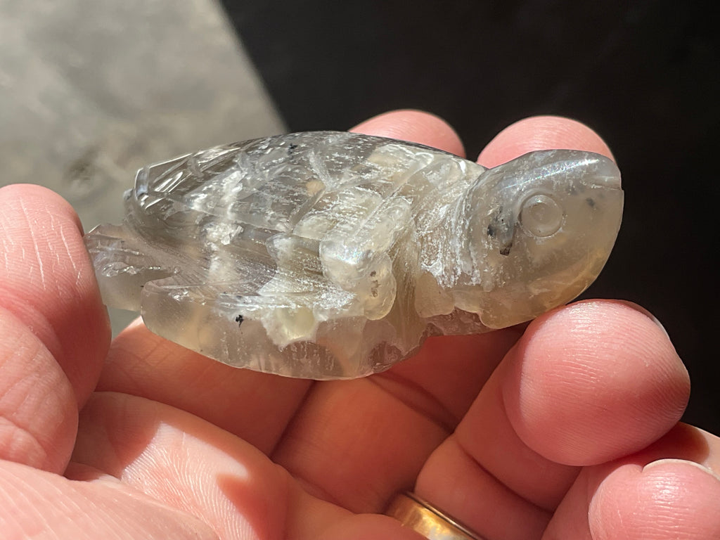 62g Carved Quartz Turtle 1A