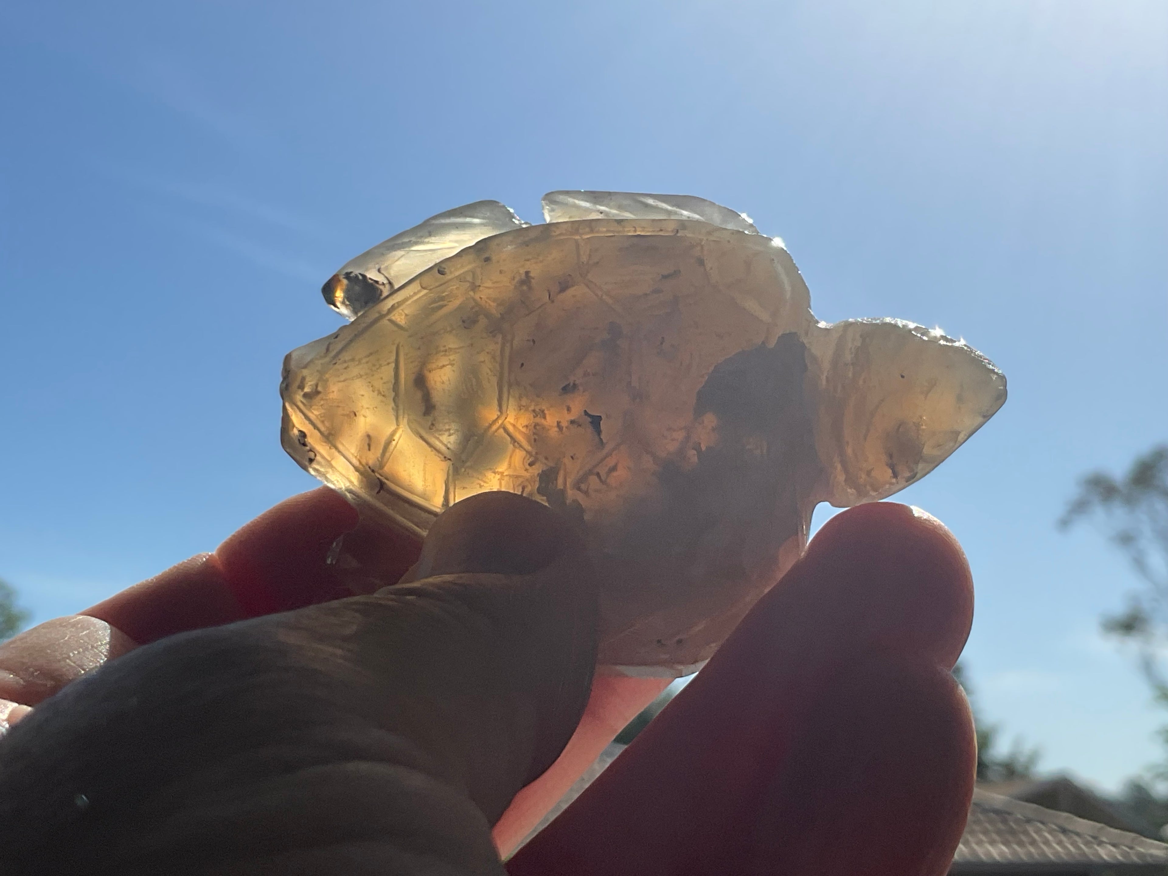 62g Carved Quartz Turtle 1A