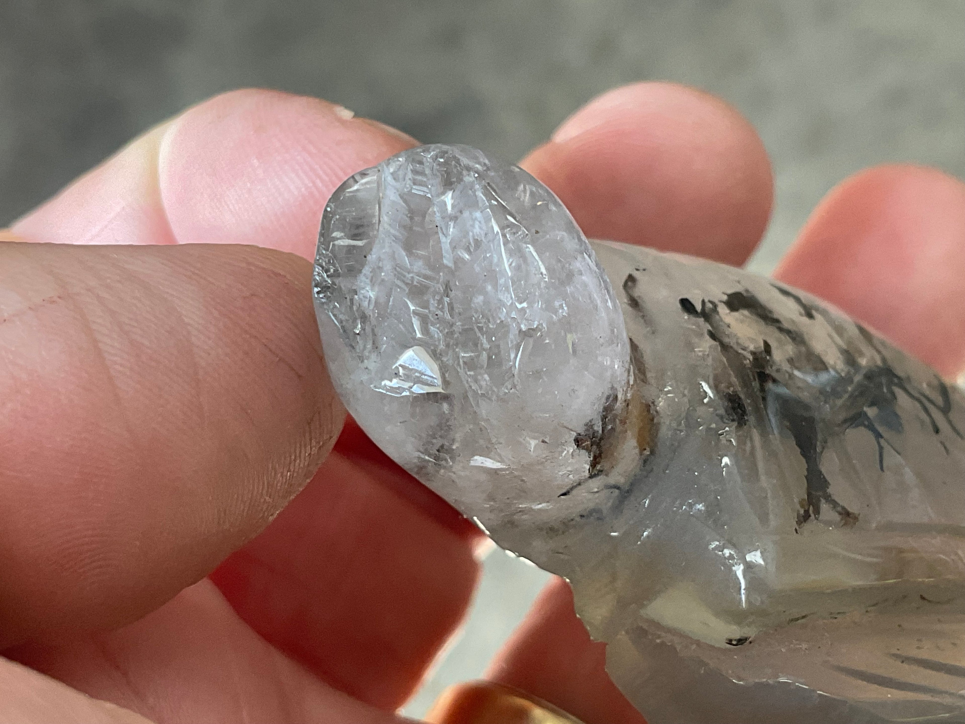 64g Quartz Carved Turtle 1B
