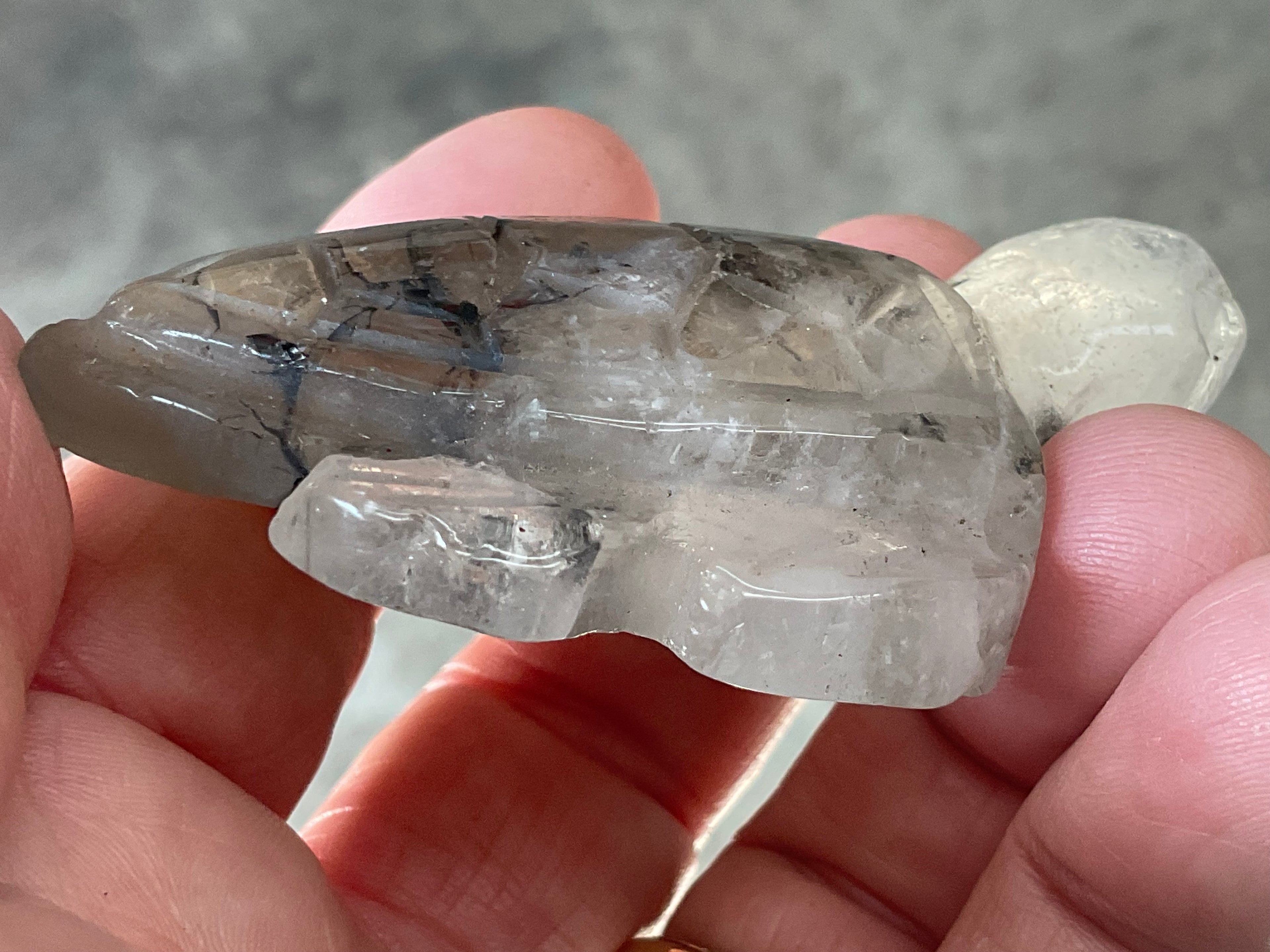 64g Quartz Carved Turtle 1B