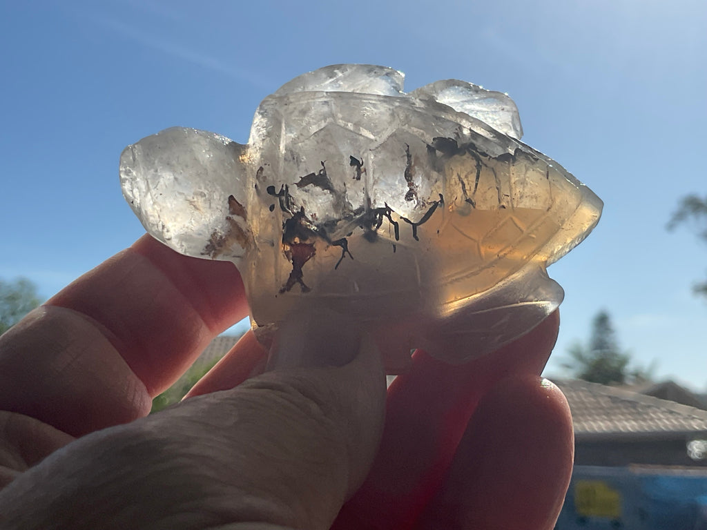 64g Quartz Carved Turtle 1B