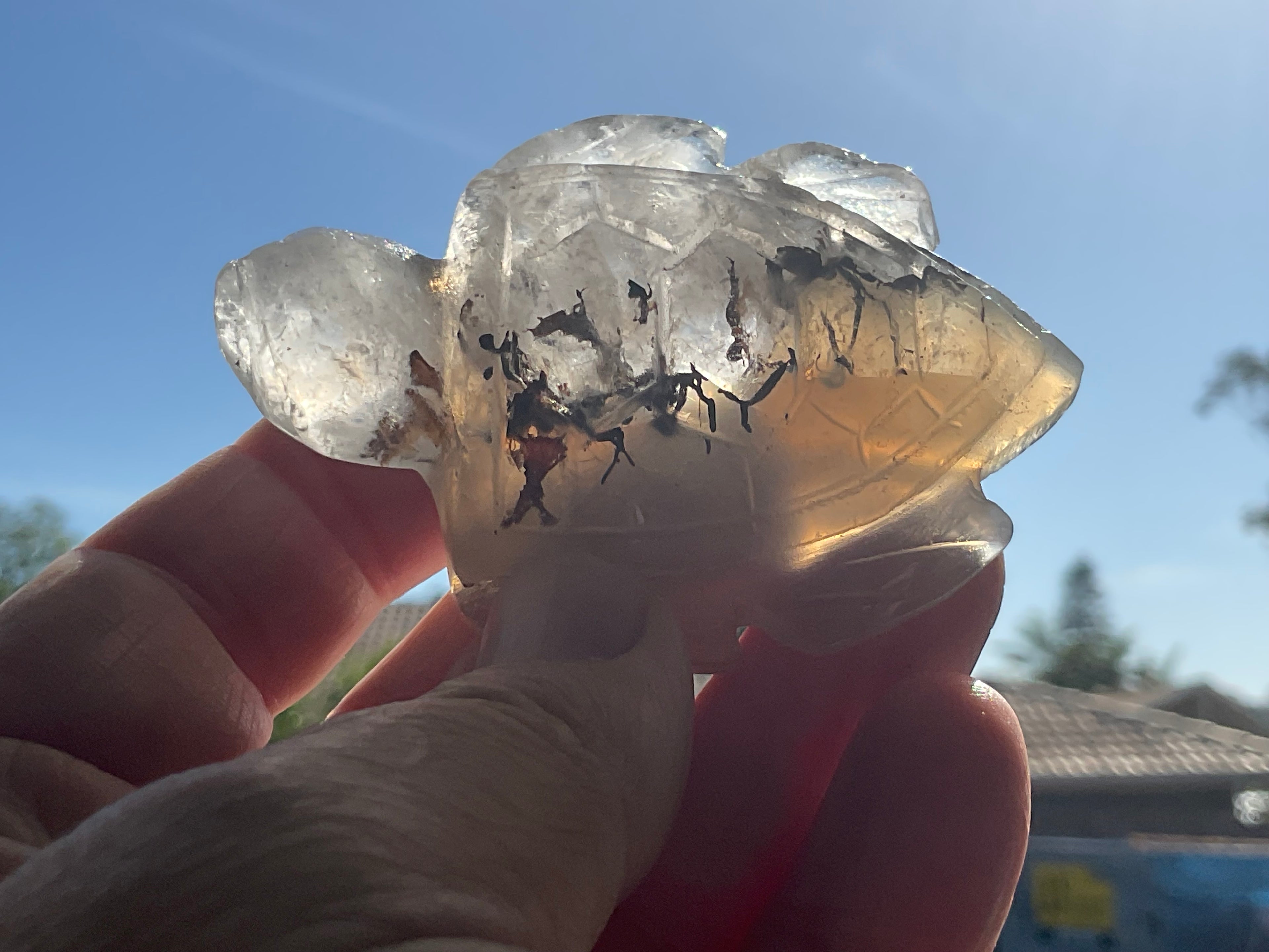 64g Quartz Carved Turtle 1B