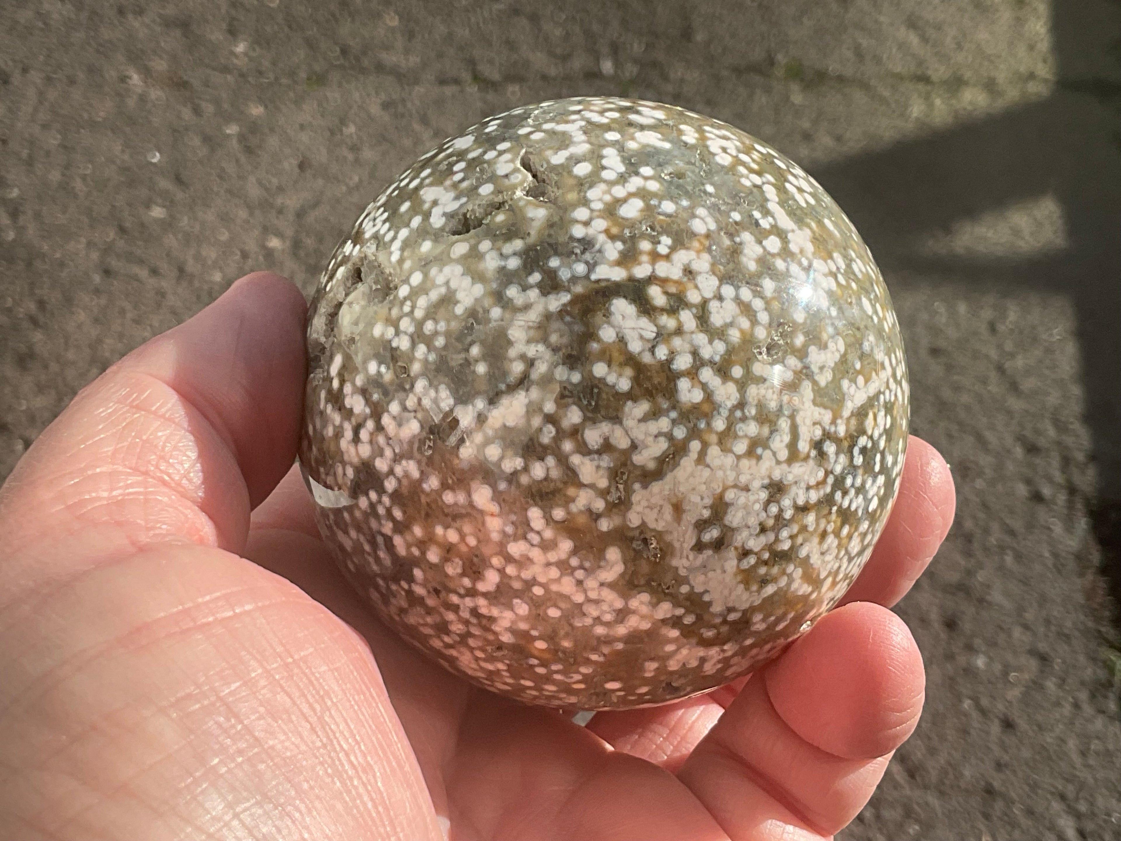 454g Extreme Orbicular Ocean Jasper Sphere 1B
