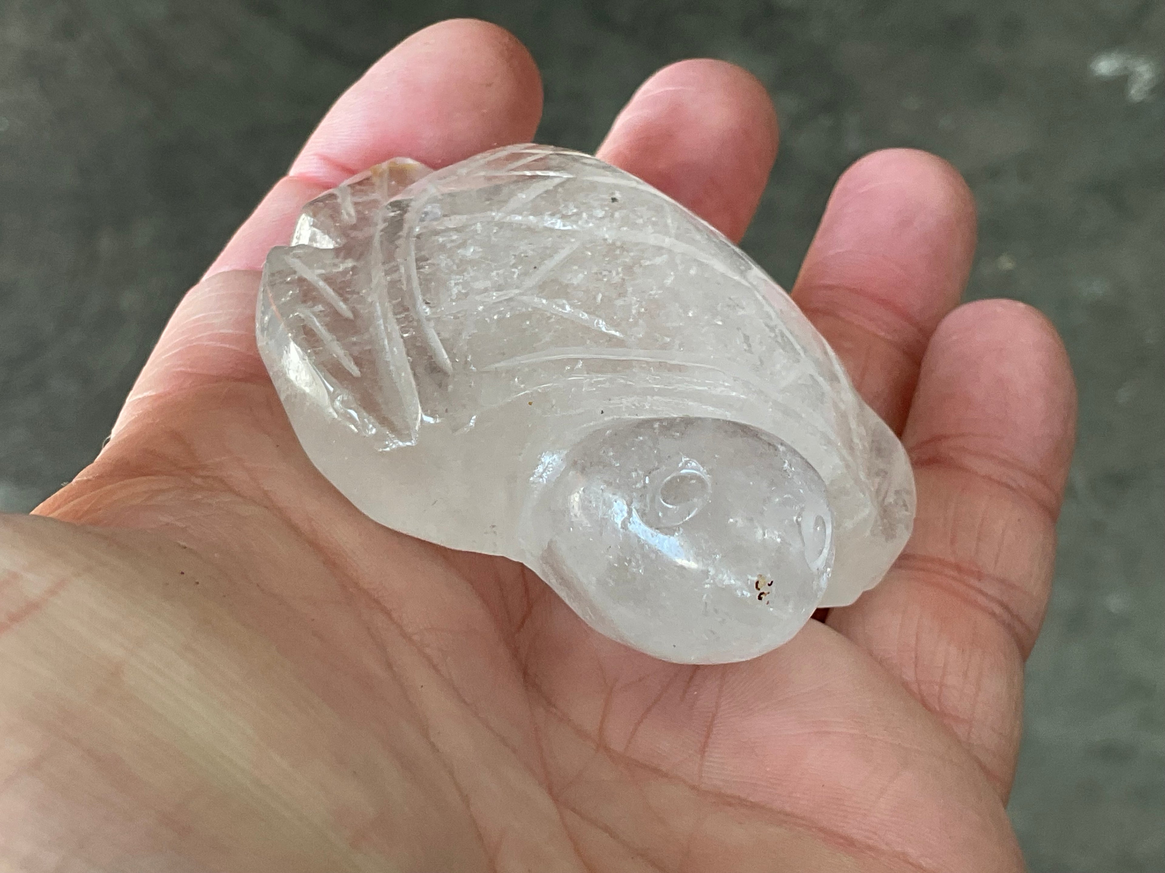 120g Carved Quartz Turtle 3C
