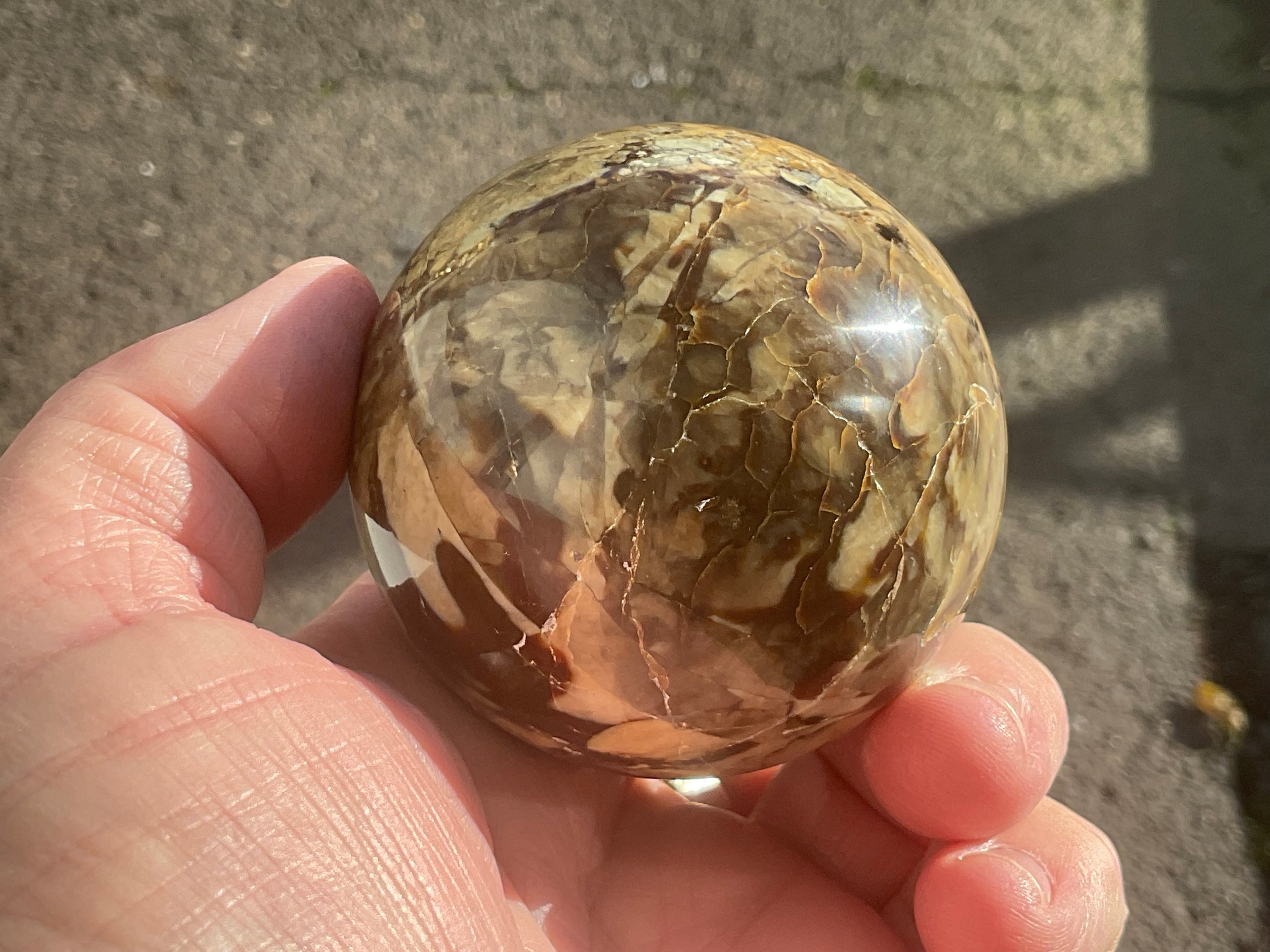 242g Duad Jasper Sphere 2D