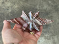 194g Striped Jasper Polaris Carving with Custom Wooden Stand 1