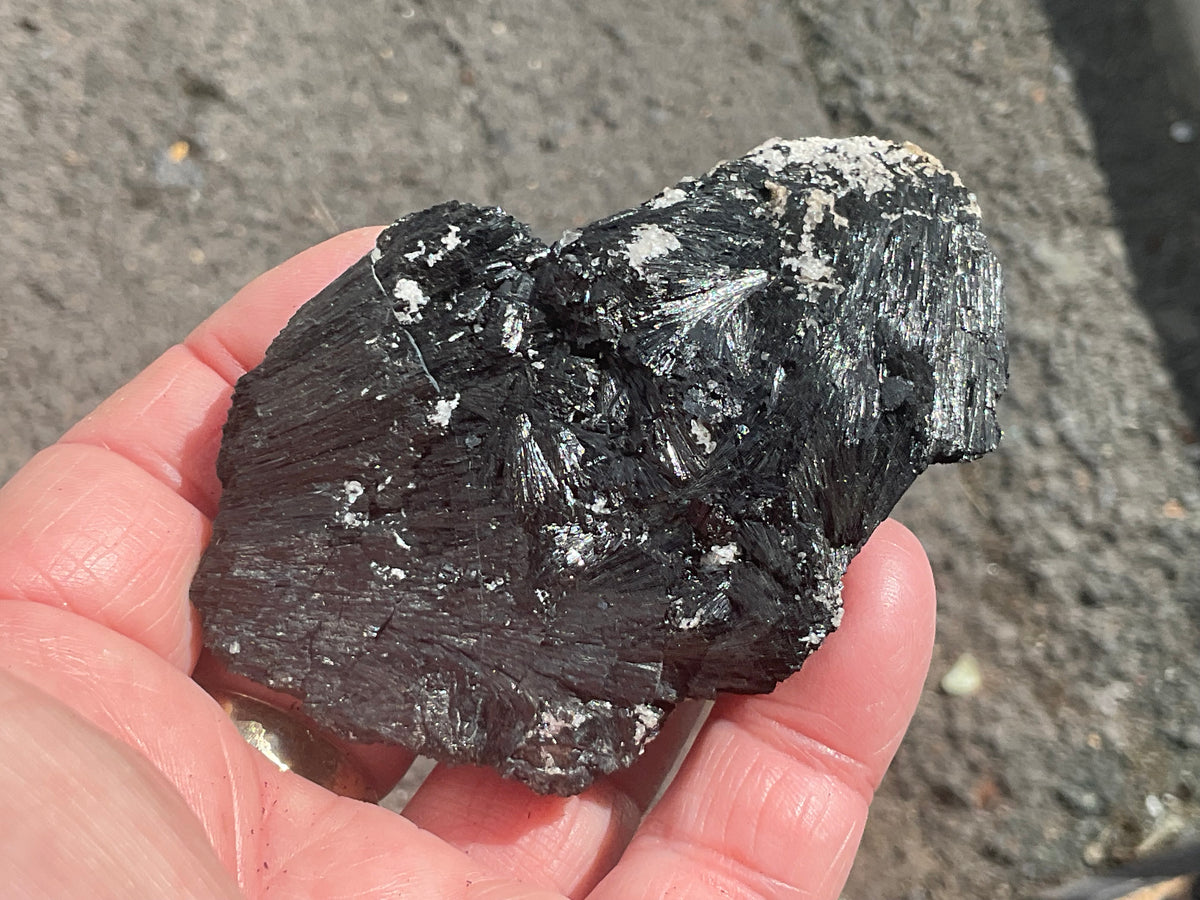 114g Black Tourmaline (Schorl) Specimen from Tasmania, Australia