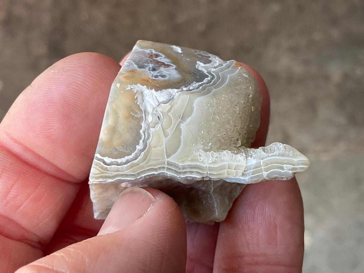 42g Mexican Crazy Lace Agate Freeform 15C
