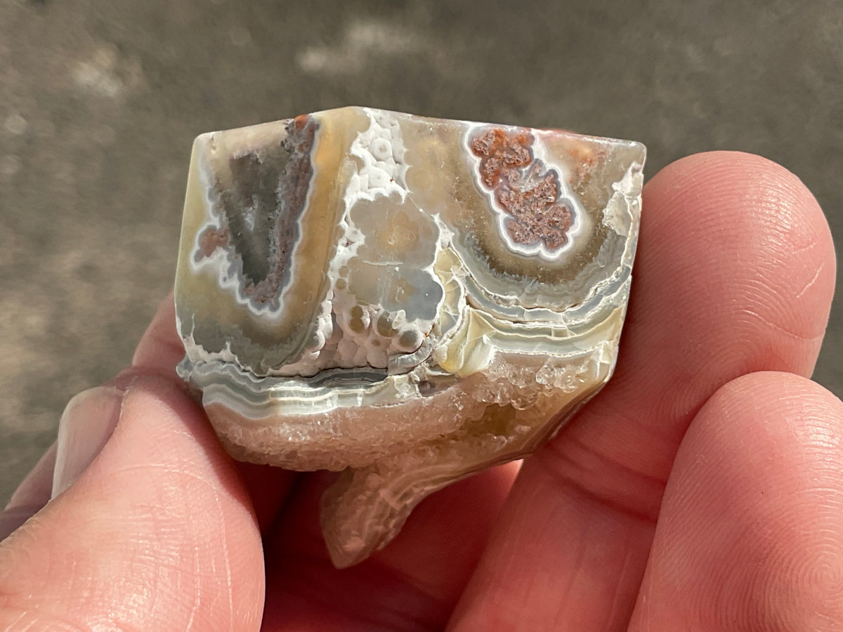 42g Mexican Crazy Lace Agate Freeform 15C