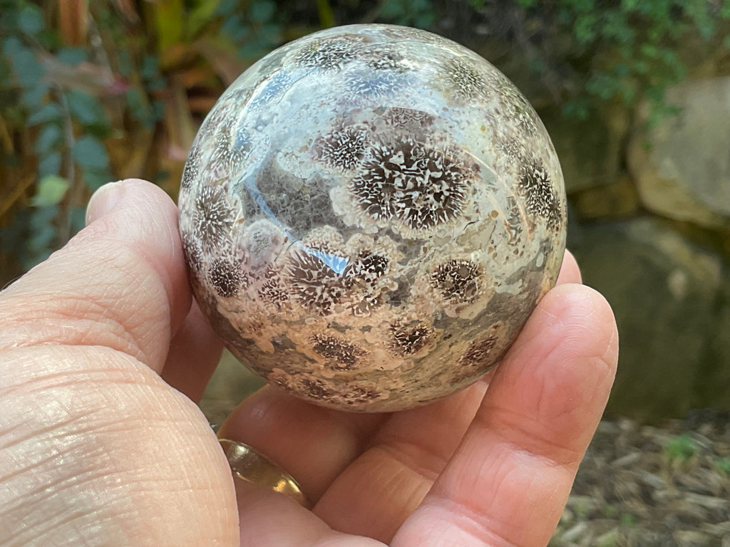 269g Green Cherry Blossom Jasper Sphere 6B
