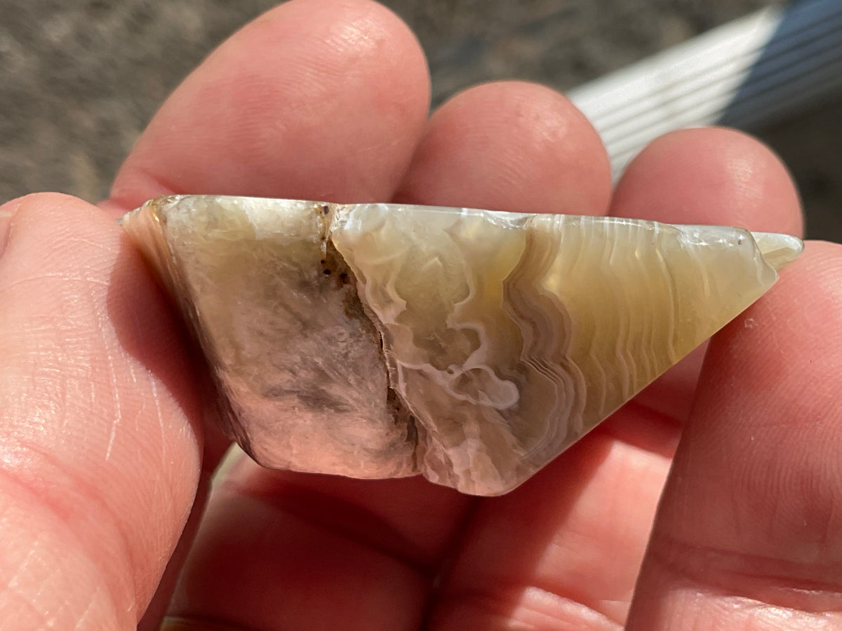 42g Mexican Crazy Lace Agate Freeform 16B