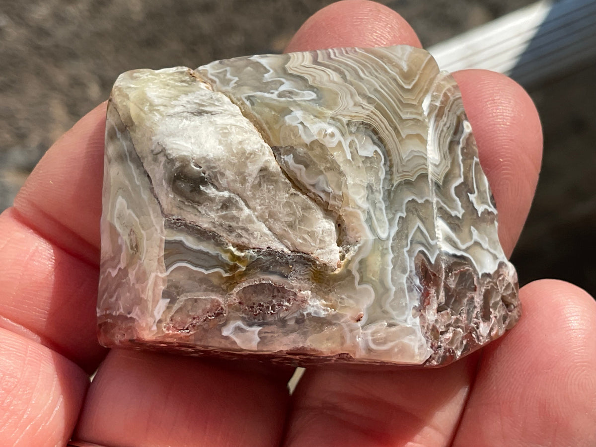 42g Mexican Crazy Lace Agate Freeform 16B