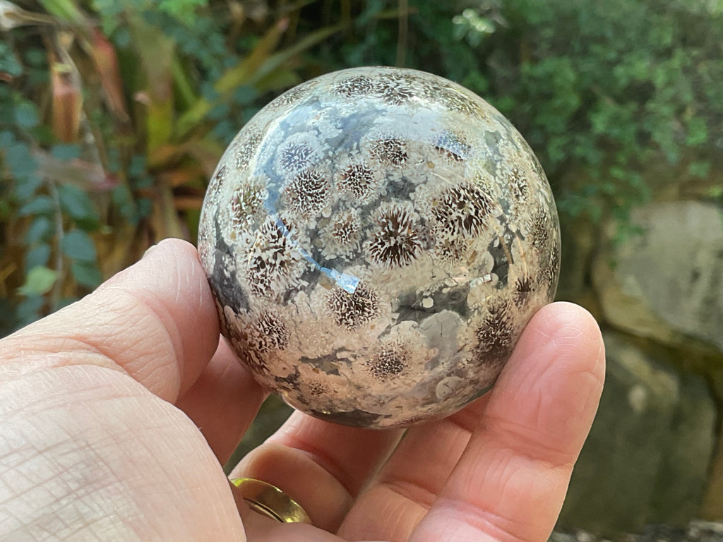 303g Green Cherry Blossom Jasper Sphere 7A