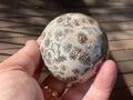 303g Green Cherry Blossom Jasper Sphere 7A