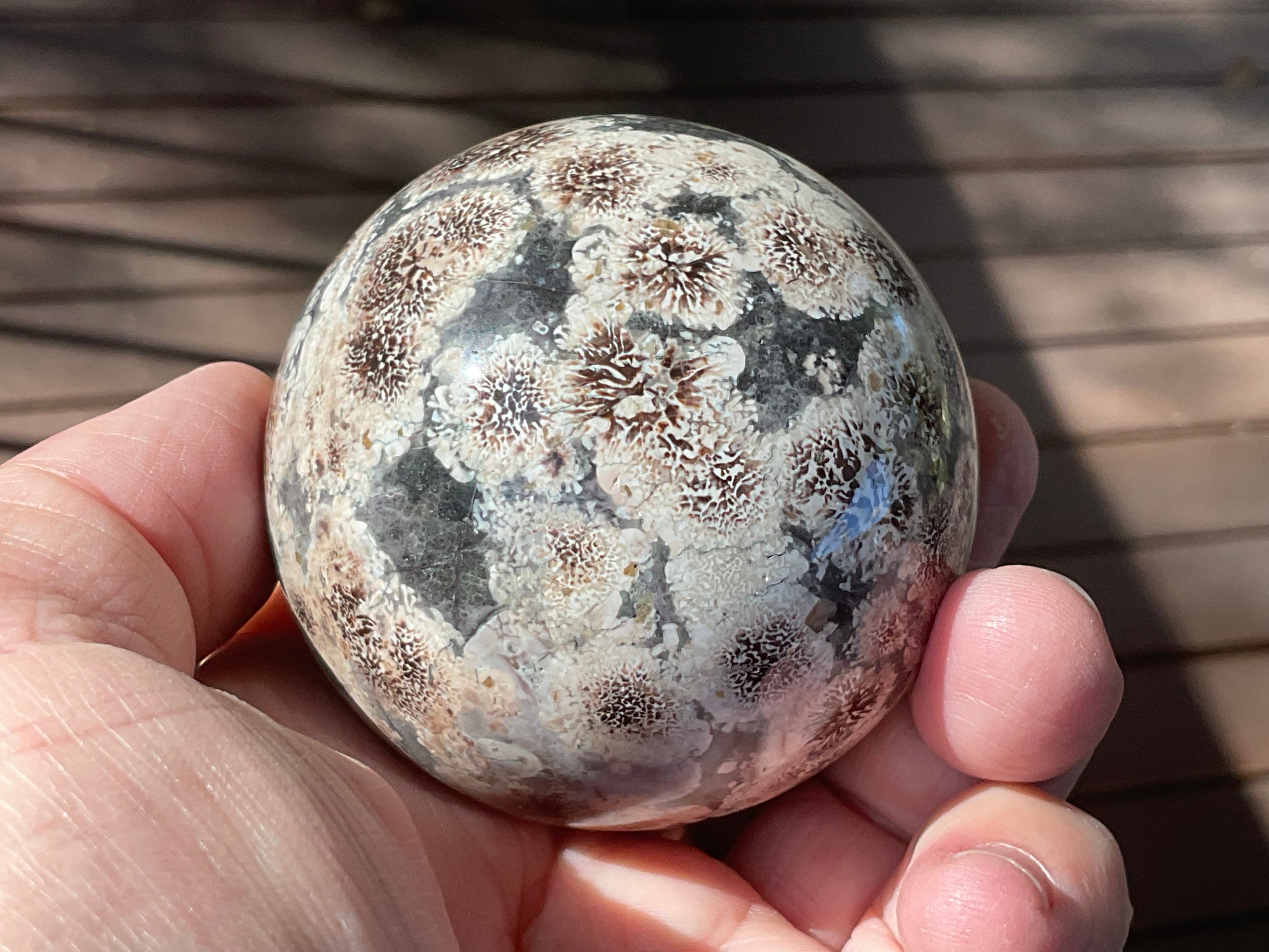 303g Green Cherry Blossom Jasper Sphere 7A