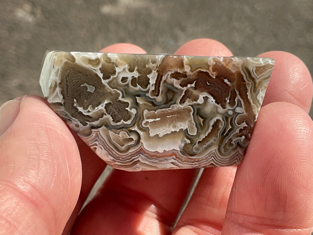 54g Mexican Crazy Lace Agate Freeform 18A