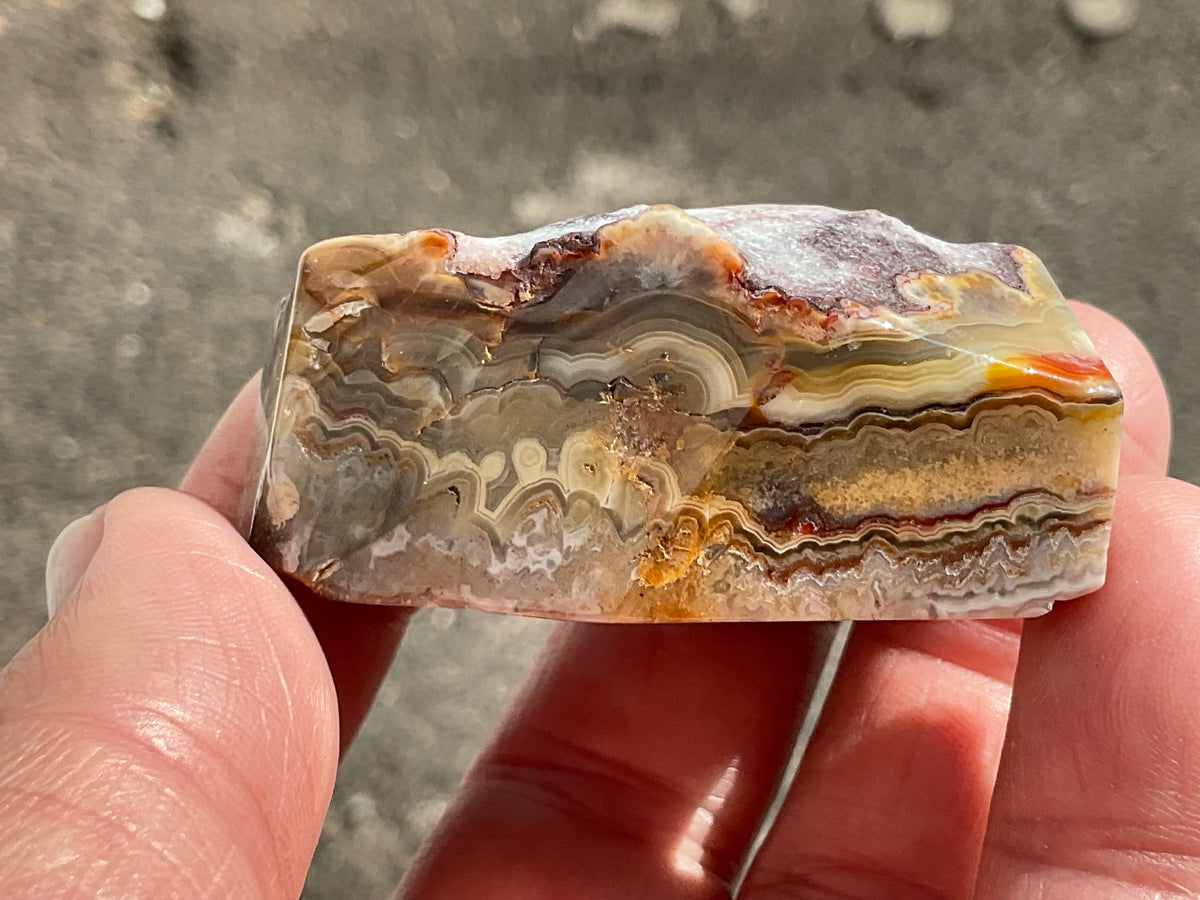 76g Mexican Crazy Lace Agate Freeform 19C