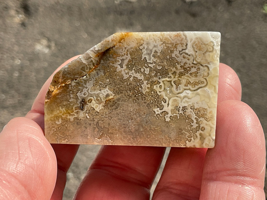 76g Mexican Crazy Lace Agate Freeform 19C