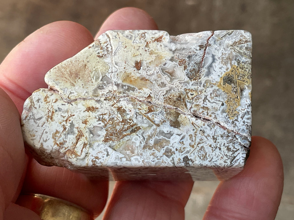 100g Mexican Crazy Lace Agate Freeform 20B