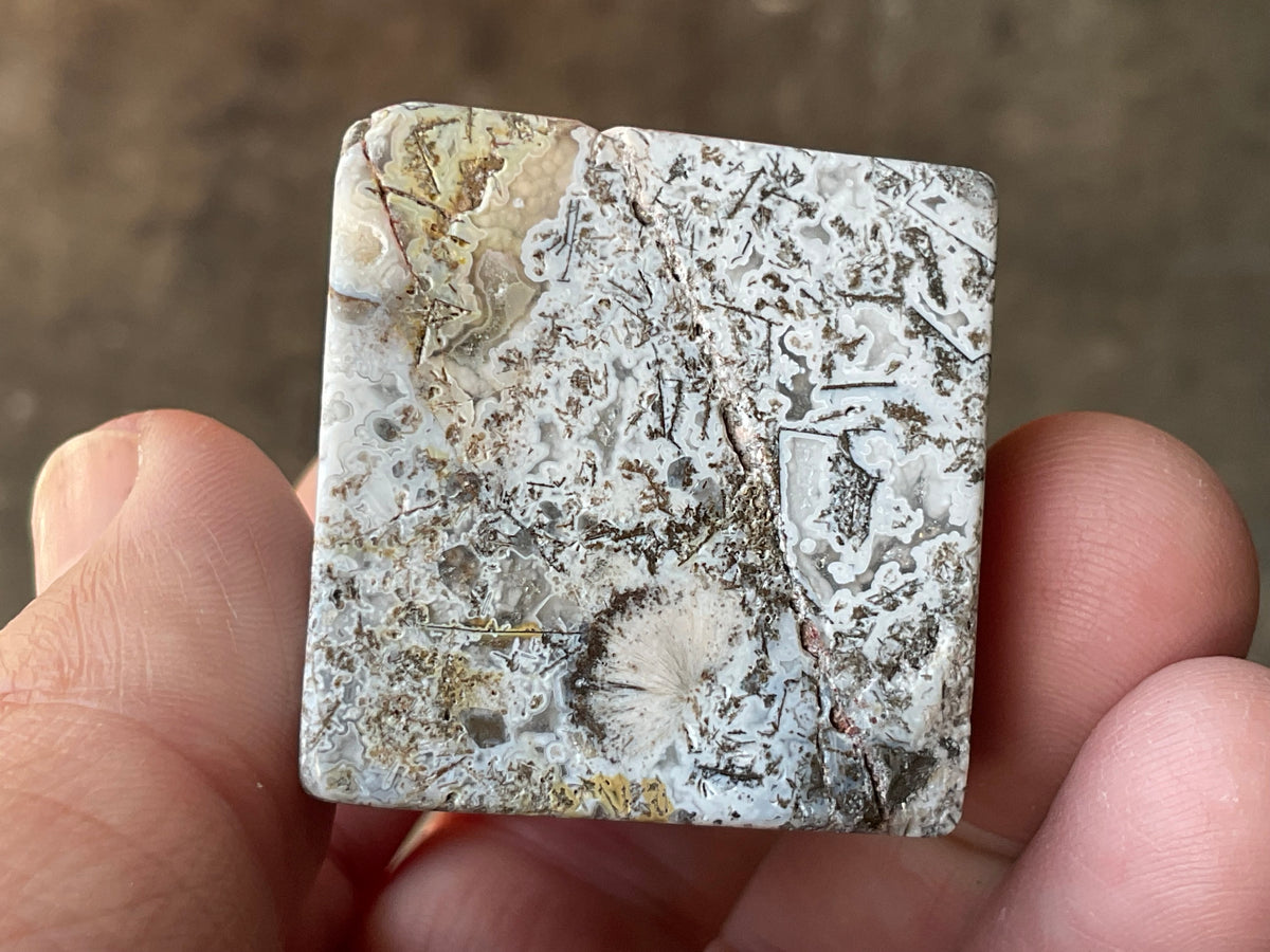 100g Mexican Crazy Lace Agate Freeform 20B