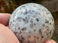 343g “Kiwi Jasper” Sphere 2C