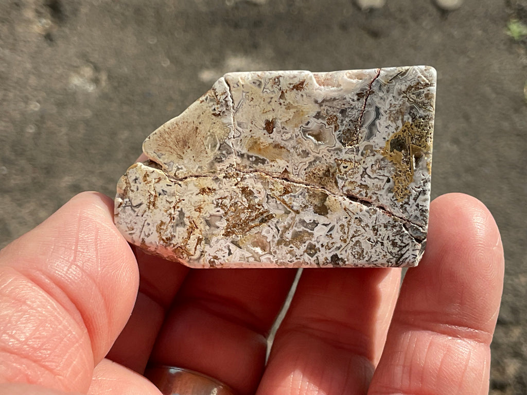 100g Mexican Crazy Lace Agate Freeform 20B