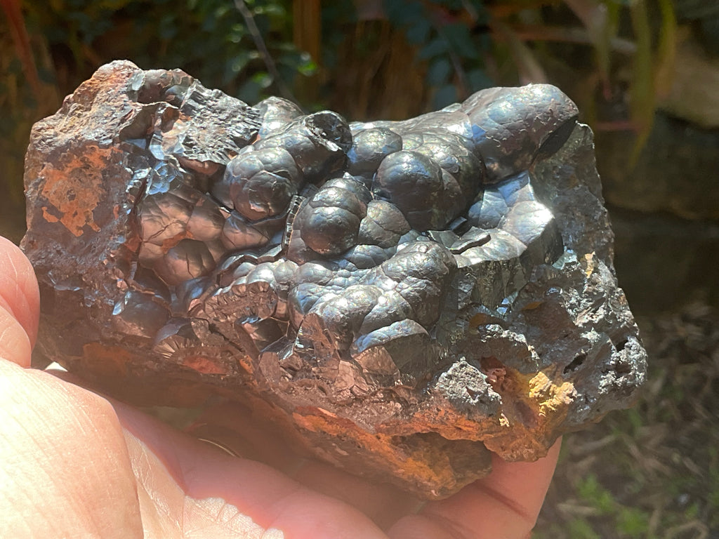 1156g Botryoidal Hematite Specimen 2A