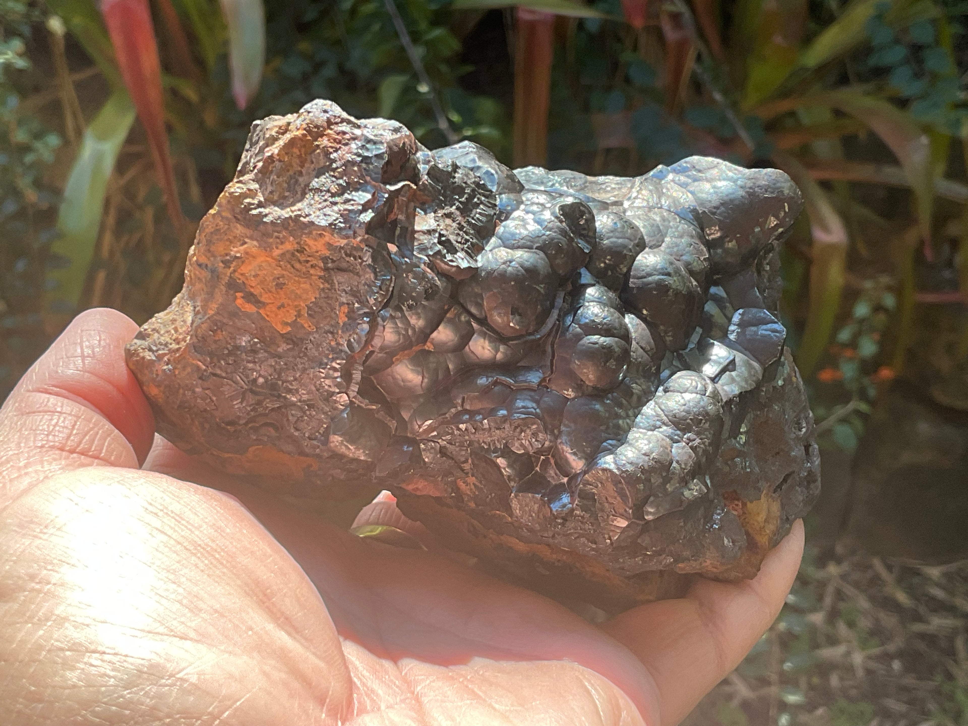 1156g Botryoidal Hematite Specimen 2A