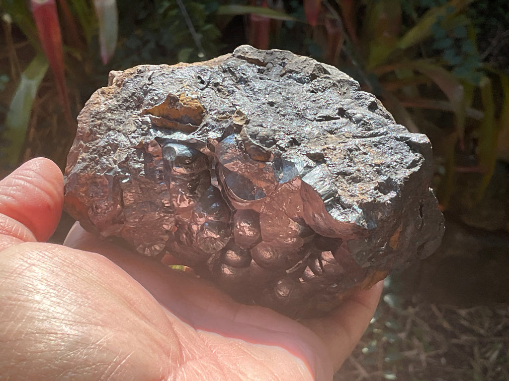 1156g Botryoidal Hematite Specimen 2A