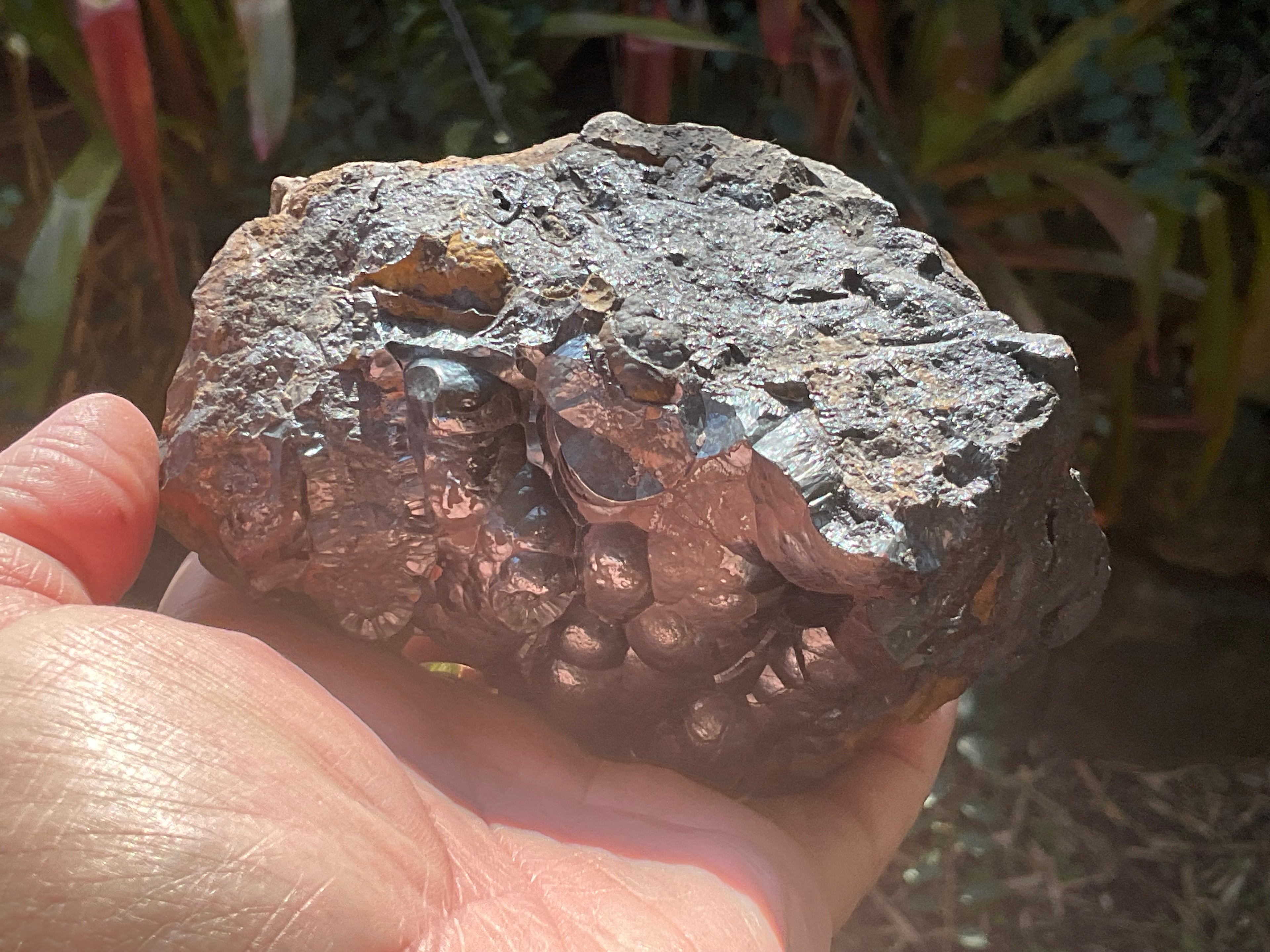 1156g Botryoidal Hematite Specimen 2A